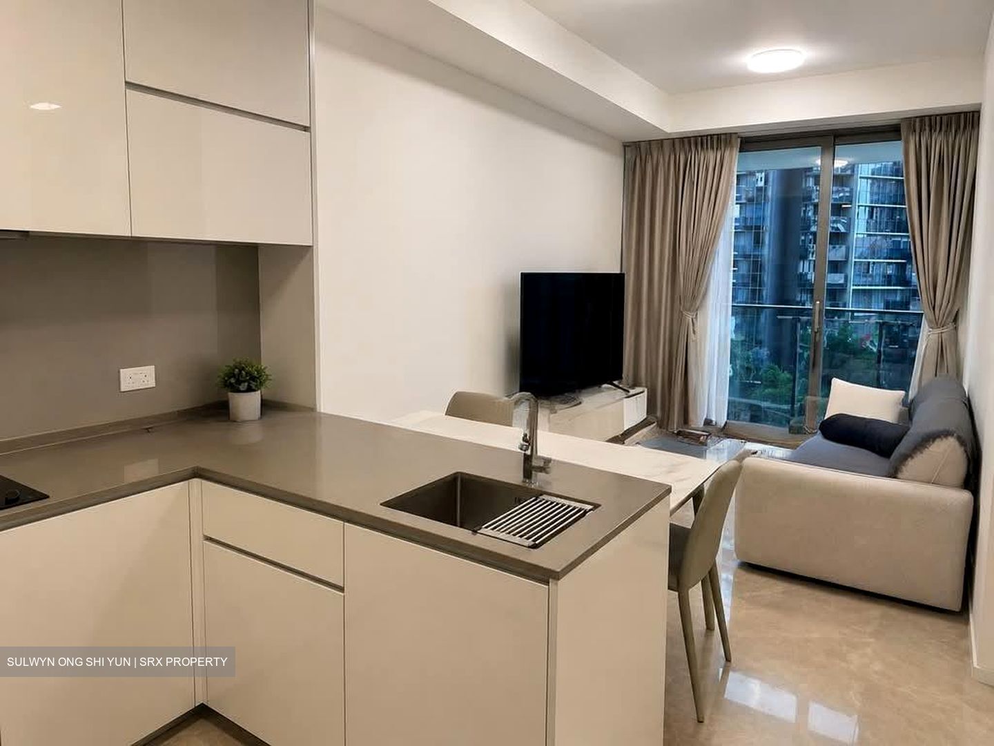 Amber Park (D15), Condominium #558031791